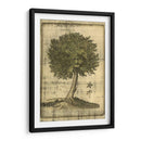 Impreso Fructífero Realm I - Vision Studio | Cuadro decorativo de Canvas Lab