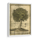 Impreso Fructífero Realm I - Vision Studio | Cuadro decorativo de Canvas Lab