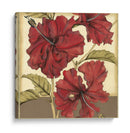 Hibisco Sofisticado Recortado I - Jennifer Goldberger | Cuadro decorativo de Canvas Lab