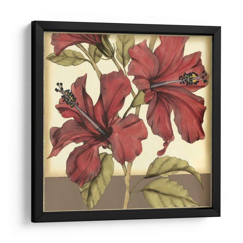 Hibiscus Sofisticado Recortado Ii - Jennifer Goldberger | Cuadro decorativo de Canvas Lab