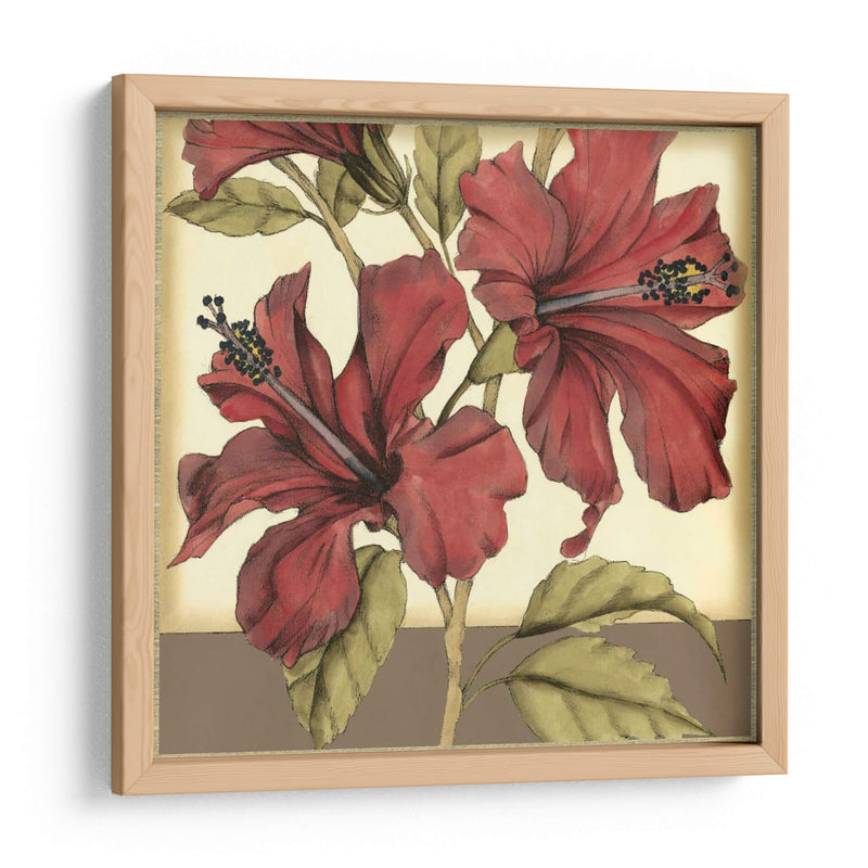 Hibiscus Sofisticado Recortado Ii - Jennifer Goldberger | Cuadro decorativo de Canvas Lab