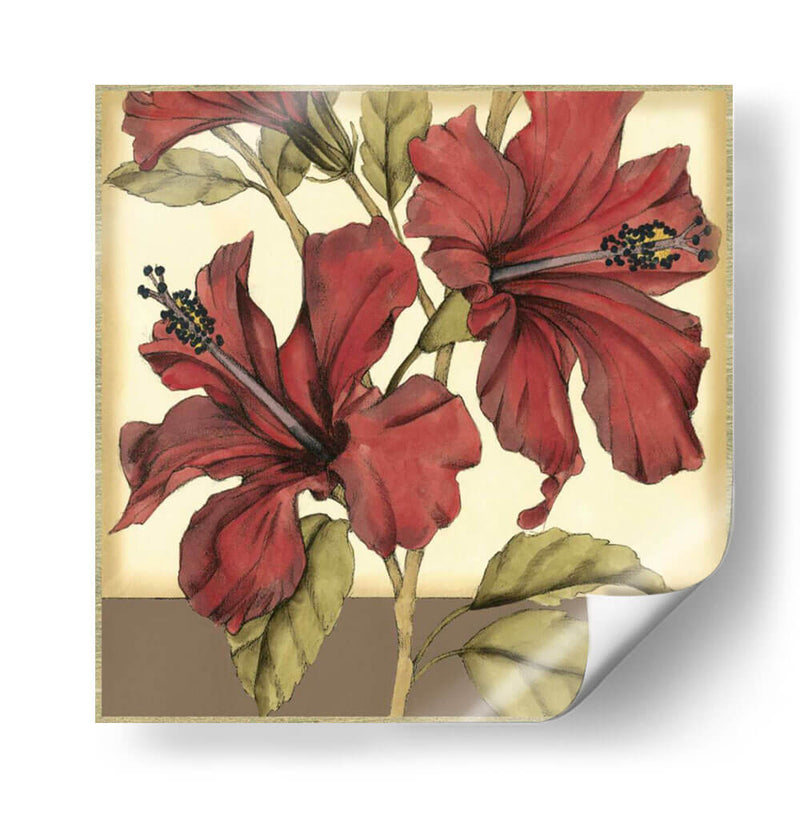 Hibiscus Sofisticado Recortado Ii - Jennifer Goldberger | Cuadro decorativo de Canvas Lab