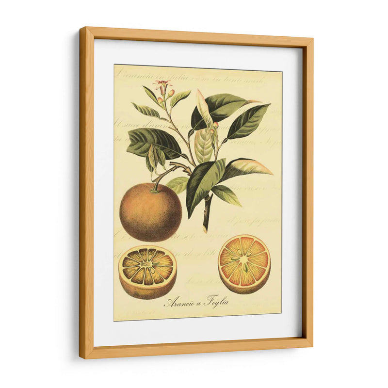 Petite Fruits Toscana Iii - Vision Studio | Cuadro decorativo de Canvas Lab