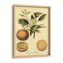 Petite Fruits Toscana Iii - Vision Studio | Cuadro decorativo de Canvas Lab