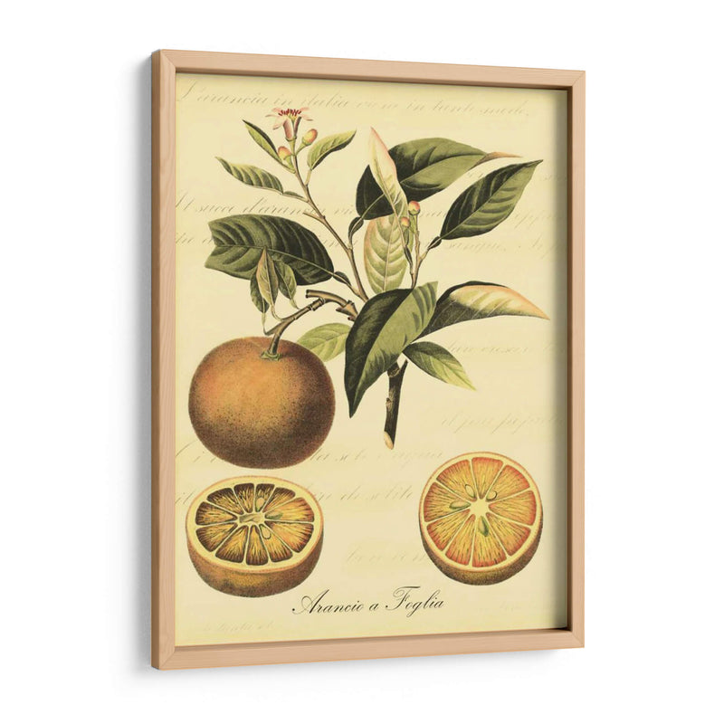 Petite Fruits Toscana Iii - Vision Studio | Cuadro decorativo de Canvas Lab