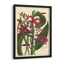 Fleur De Rouge Iii | Cuadro decorativo de Canvas Lab