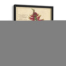 Fleur De Rouge Iv | Cuadro decorativo de Canvas Lab