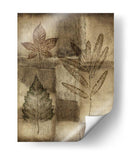 Personalizado Impresionado En Patina Iv - Nancy Slocum | Cuadro decorativo de Canvas Lab