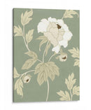 Peonía Pequeña Elegancia Ii - Nancy Slocum | Cuadro decorativo de Canvas Lab