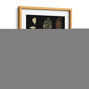 Pequeñas Coníferas Dramáticas I - Vision Studio | Cuadro decorativo de Canvas Lab
