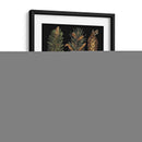 Pequeñas Coníferas Dramáticas Iv - Vision Studio | Cuadro decorativo de Canvas Lab