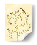 Berry Bird Ii - Virginia A. Roper | Cuadro decorativo de Canvas Lab