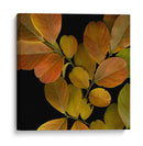 Pequeñas Hojas Vívidas I - Vision Studio | Cuadro decorativo de Canvas Lab