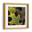 Pequeñas Hojas Vívidas Ii - Vision Studio | Cuadro decorativo de Canvas Lab