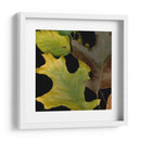 Pequeñas Hojas Vívidas Ii - Vision Studio | Cuadro decorativo de Canvas Lab