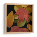 Pequeñas Hojas Vívidas Iii - Vision Studio | Cuadro decorativo de Canvas Lab