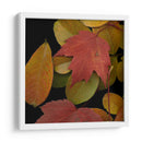 Pequeñas Hojas Vívidas Iii - Vision Studio | Cuadro decorativo de Canvas Lab