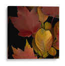 Pequeñas Hojas Vívidas Iv - Vision Studio | Cuadro decorativo de Canvas Lab