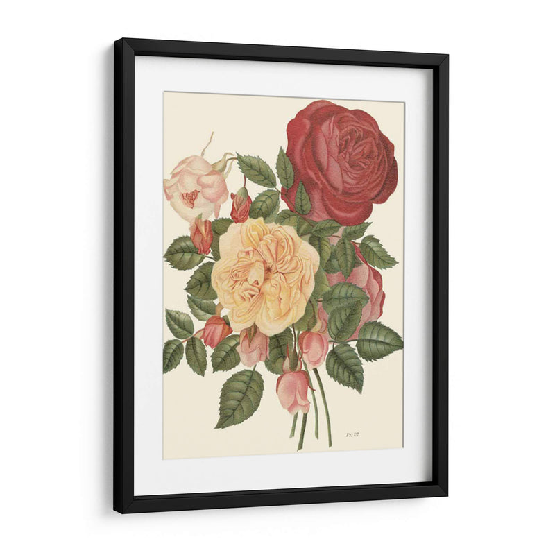 Rosas Vintage I - Vision Studio | Cuadro decorativo de Canvas Lab