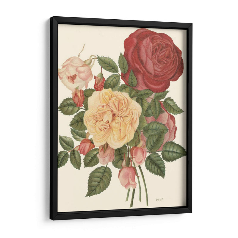 Rosas Vintage I - Vision Studio | Cuadro decorativo de Canvas Lab