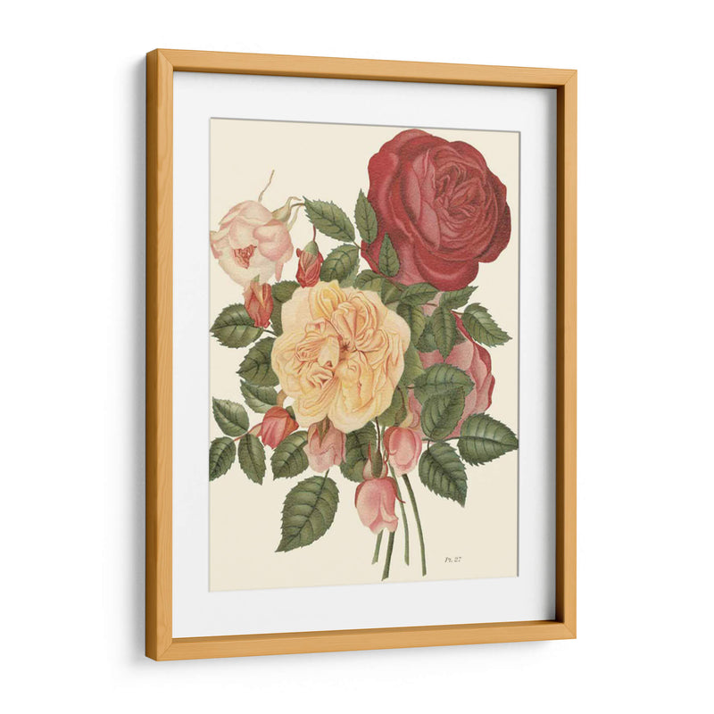 Rosas Vintage I - Vision Studio | Cuadro decorativo de Canvas Lab