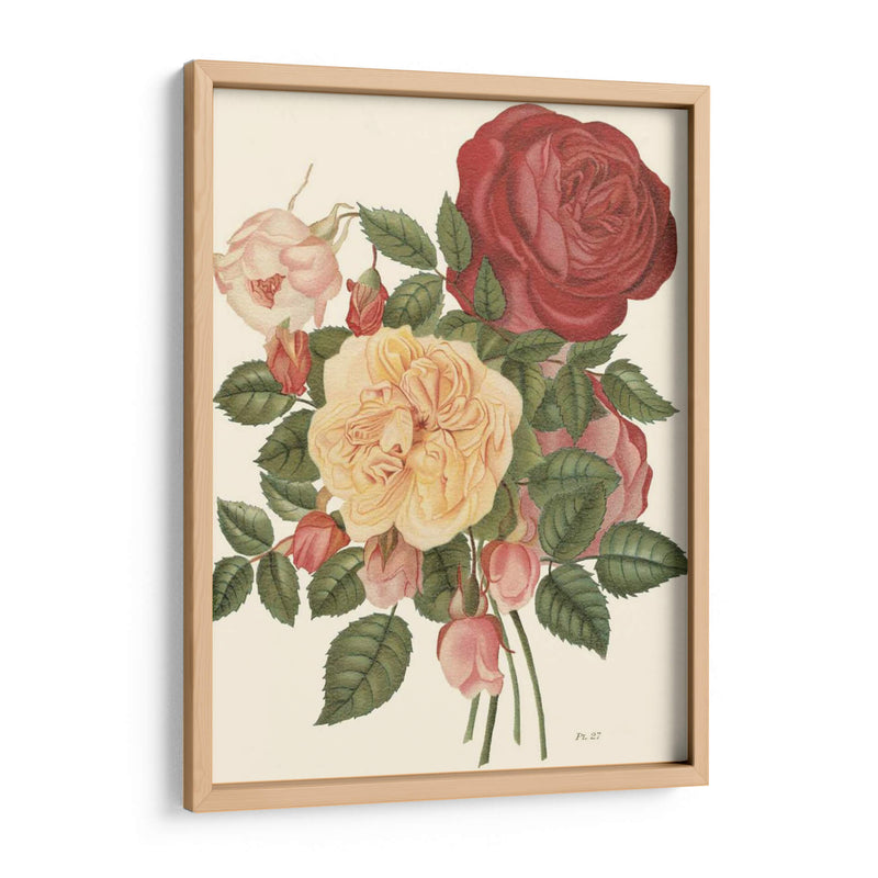 Rosas Vintage I - Vision Studio | Cuadro decorativo de Canvas Lab