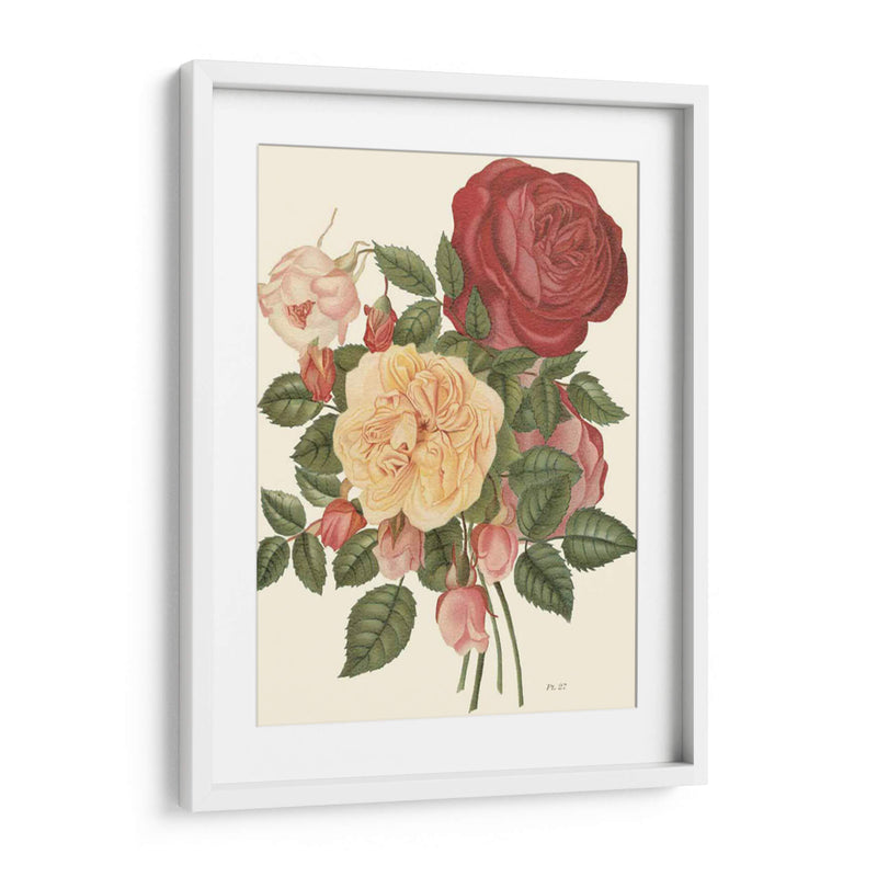 Rosas Vintage I - Vision Studio | Cuadro decorativo de Canvas Lab