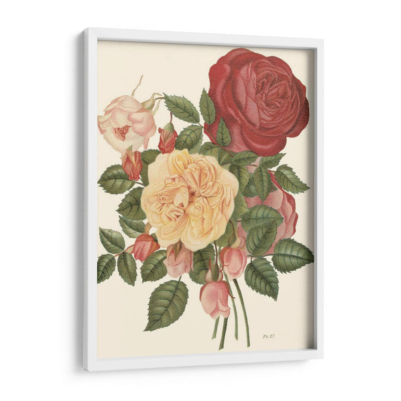 Rosas Vintage I - Vision Studio | Cuadro decorativo de Canvas Lab