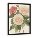 Rosas Vintage Ii - Vision Studio | Cuadro decorativo de Canvas Lab
