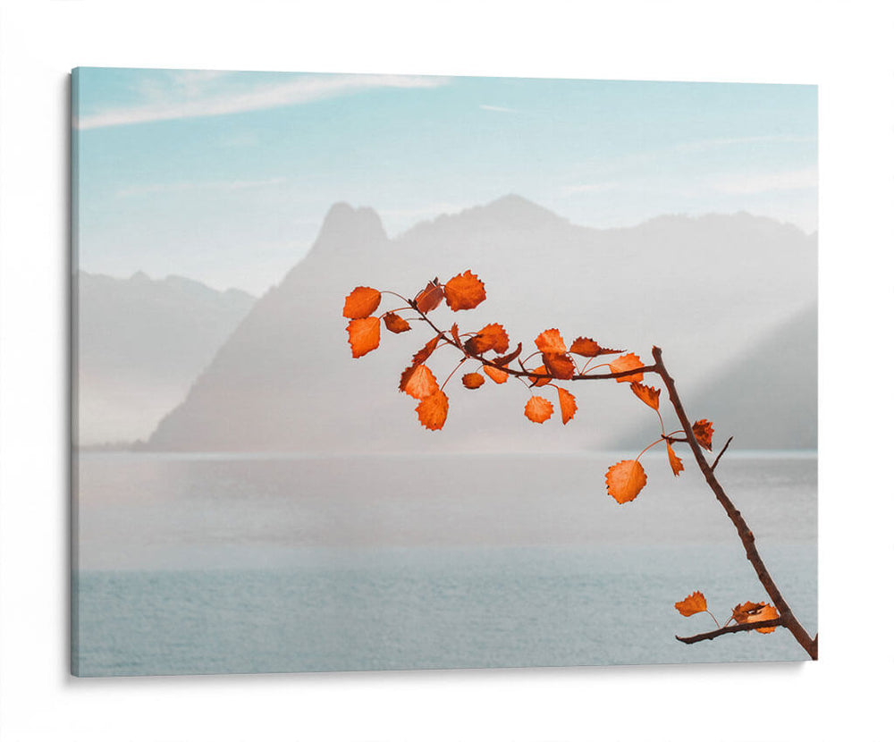 Señales de otoño | Cuadro decorativo de Canvas Lab
