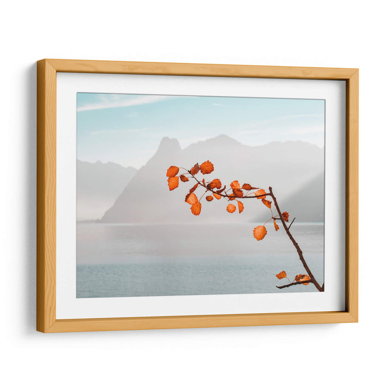 Señales de otoño | Cuadro decorativo de Canvas Lab