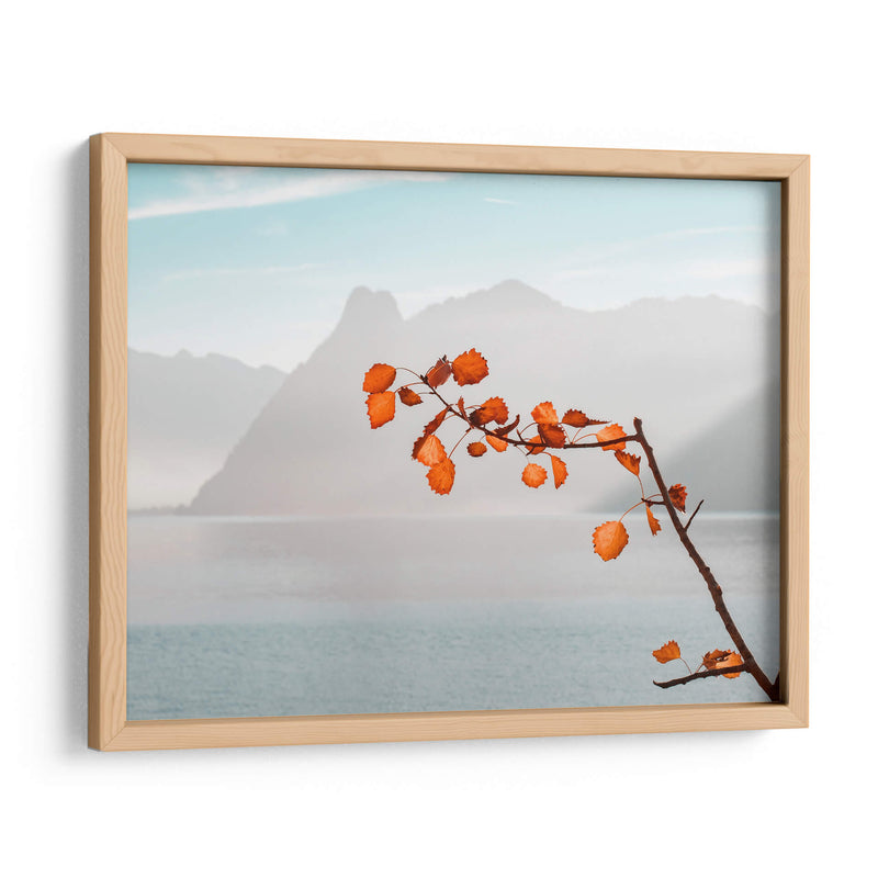 Señales de otoño | Cuadro decorativo de Canvas Lab