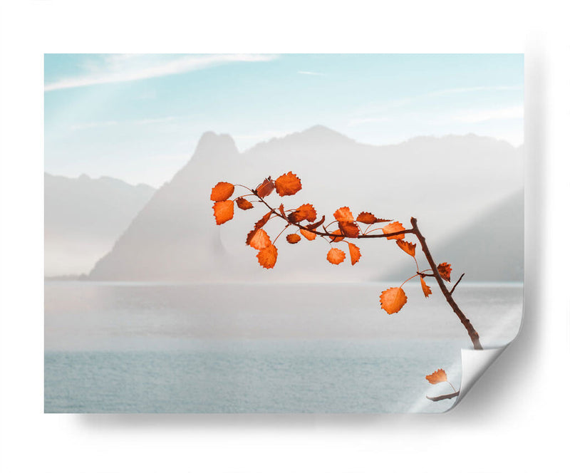 Señales de otoño | Cuadro decorativo de Canvas Lab