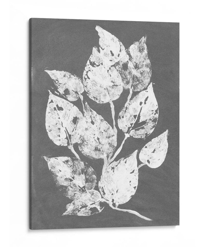 Frosty Philodendron I - Alicia Ludwig | Cuadro decorativo de Canvas Lab