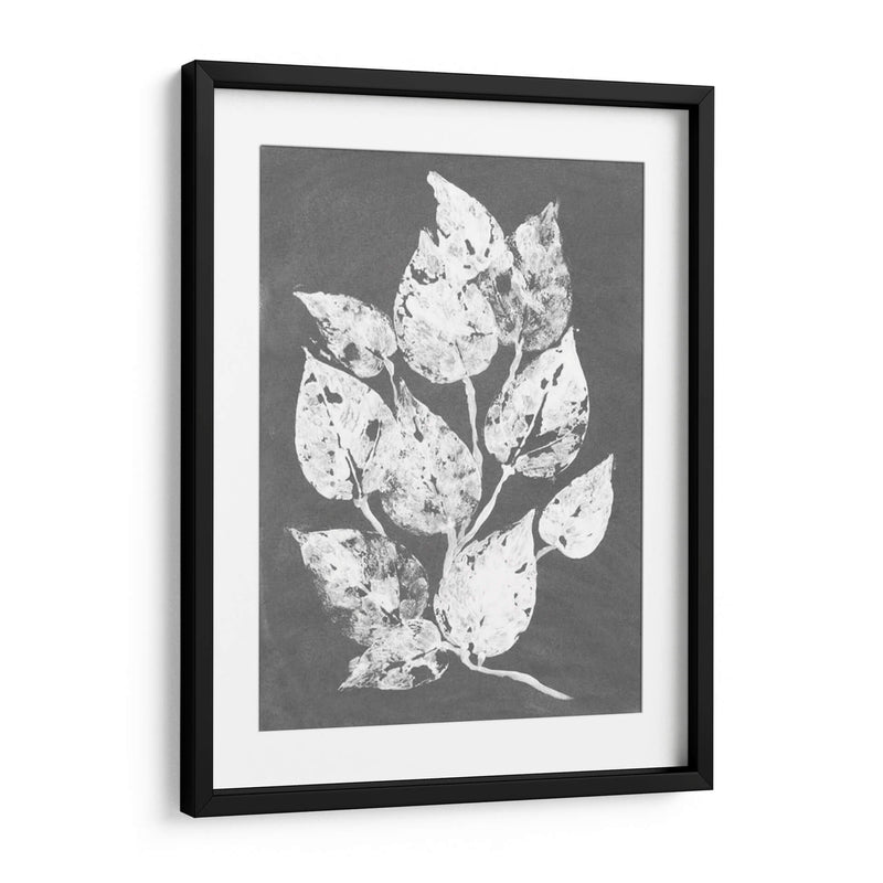 Frosty Philodendron I - Alicia Ludwig | Cuadro decorativo de Canvas Lab