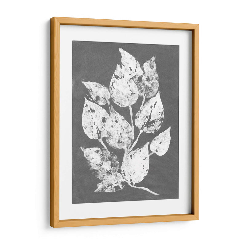 Frosty Philodendron I - Alicia Ludwig | Cuadro decorativo de Canvas Lab