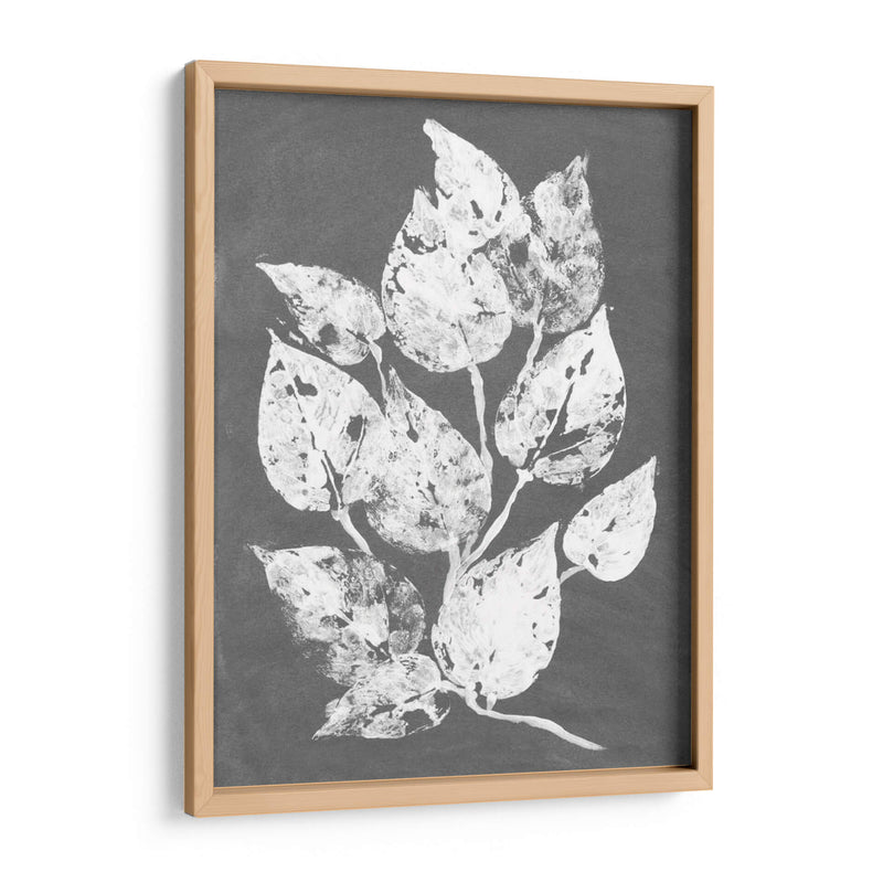 Frosty Philodendron I - Alicia Ludwig | Cuadro decorativo de Canvas Lab