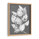 Frosty Philodendron I - Alicia Ludwig | Cuadro decorativo de Canvas Lab