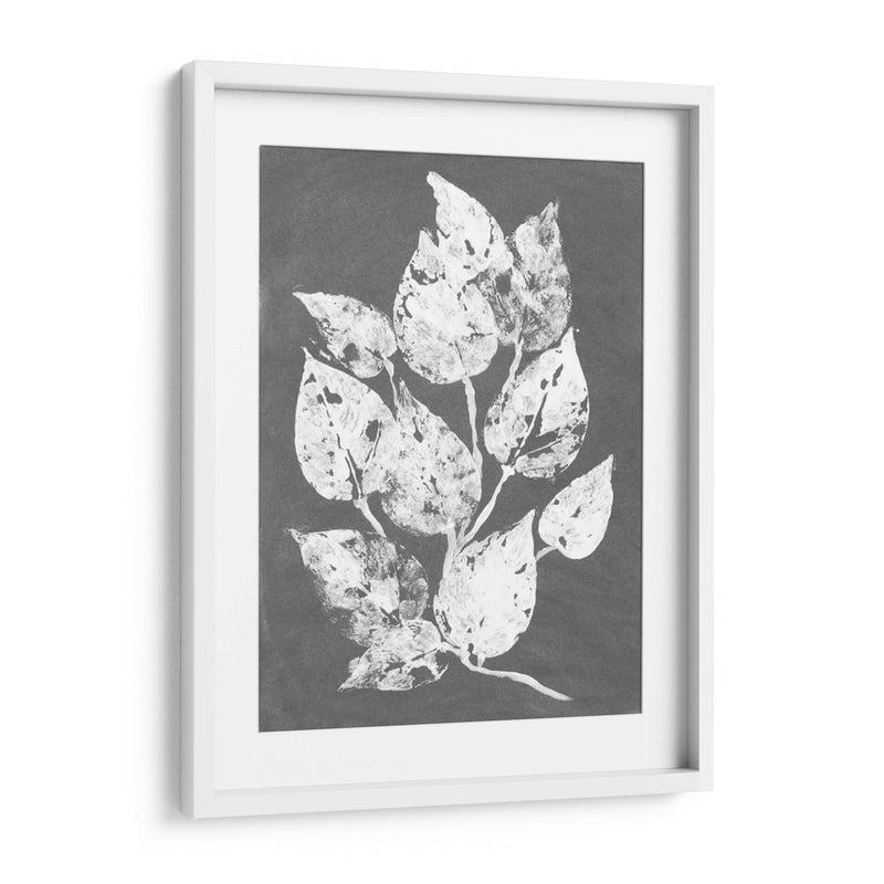 Frosty Philodendron I - Alicia Ludwig | Cuadro decorativo de Canvas Lab