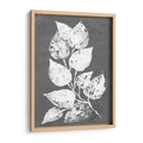 Frosty Philodendron Ii - Alicia Ludwig | Cuadro decorativo de Canvas Lab