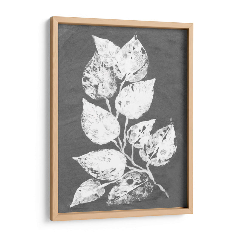 Frosty Philodendron Ii - Alicia Ludwig | Cuadro decorativo de Canvas Lab