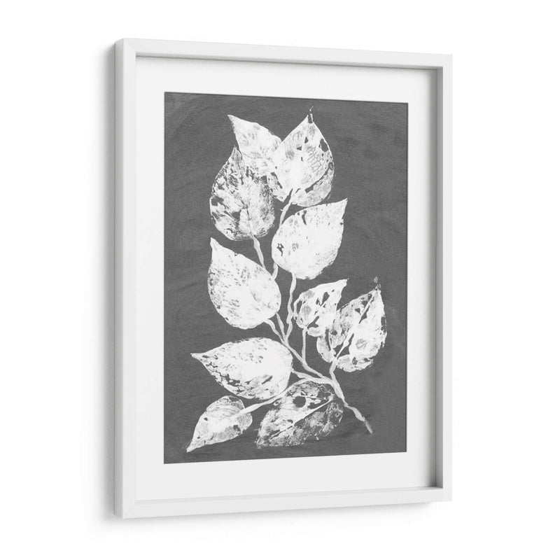 Frosty Philodendron Ii - Alicia Ludwig | Cuadro decorativo de Canvas Lab