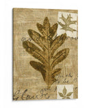 Collage De Hoja I - K. Archie | Cuadro decorativo de Canvas Lab