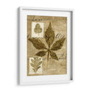 Collage De Hojas Iii - K. Archie | Cuadro decorativo de Canvas Lab
