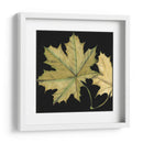 Pequeñas Hojas En Tándem Ii - Jennifer Goldberger | Cuadro decorativo de Canvas Lab