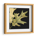 Pequeñas Hojas De Tándem Iii - Jennifer Goldberger | Cuadro decorativo de Canvas Lab