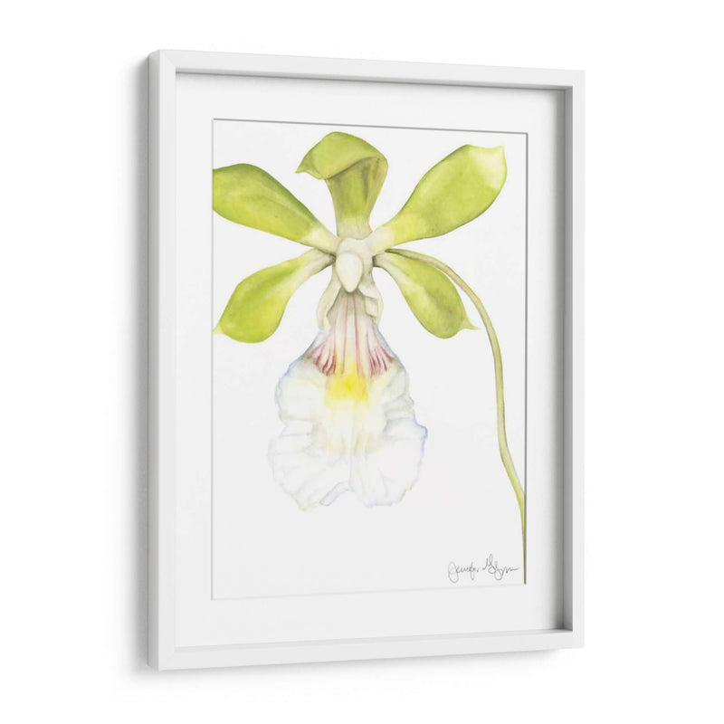 Belleza De La Orquídea Pequeña I - Jennifer Goldberger | Cuadro decorativo de Canvas Lab