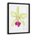 Pequeña Belleza De Orquídea Iii - Jennifer Goldberger | Cuadro decorativo de Canvas Lab