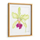 Pequeña Belleza De Orquídea Iii - Jennifer Goldberger | Cuadro decorativo de Canvas Lab