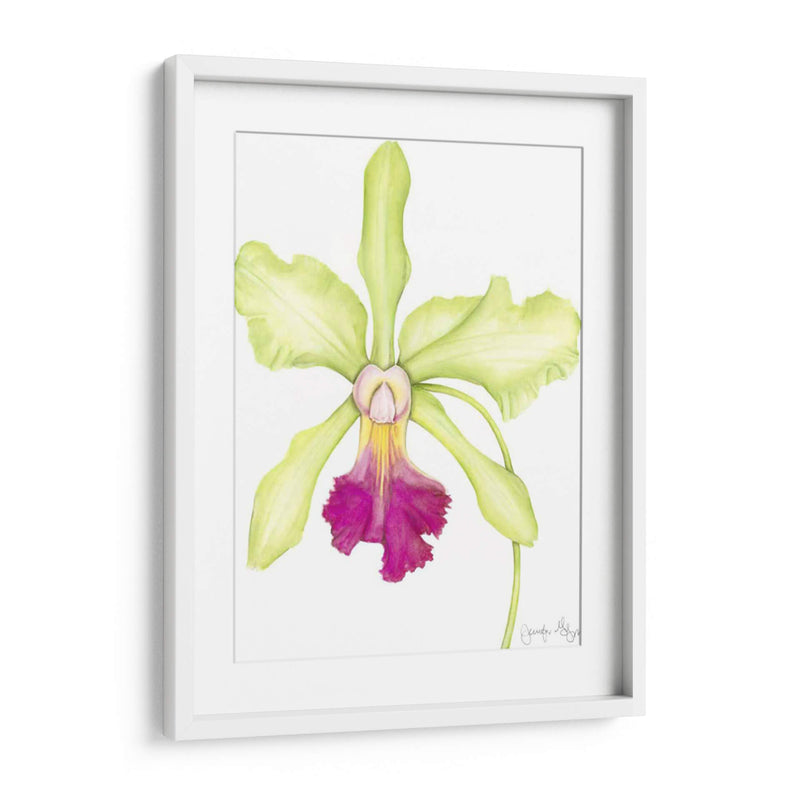 Pequeña Belleza De Orquídea Iii - Jennifer Goldberger | Cuadro decorativo de Canvas Lab